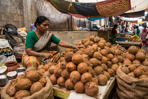 An Indian woman vendor wearing a saree sits behind a large pile of brown coconuts at an open-air local market stall.