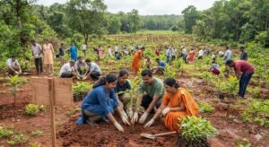 State activates ₹11.84 crore in immediate funding to restore 246 hectares of delayed planting by 2029.